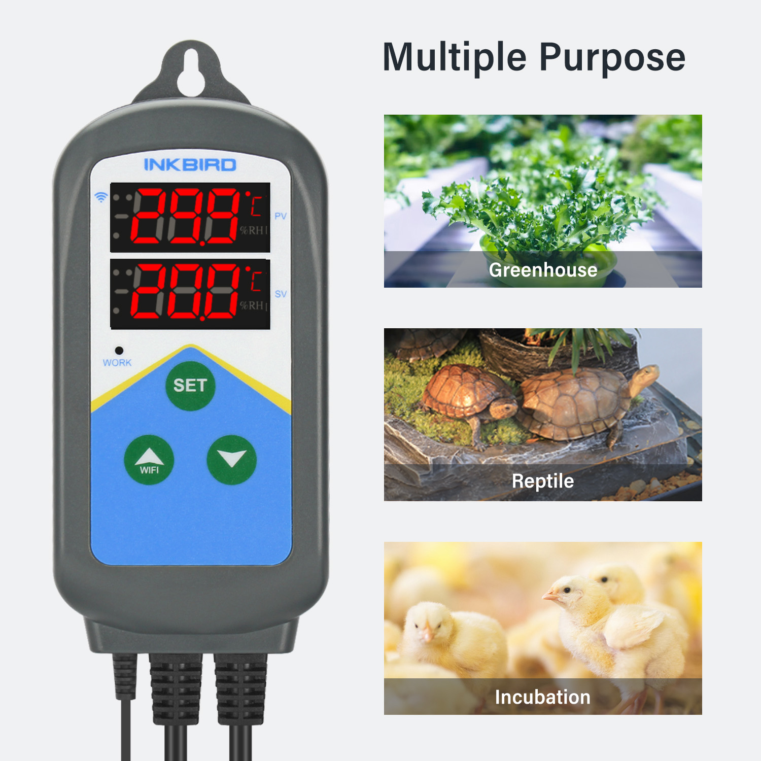 INKBIRD WIFI Thermoregulator I - Wifi Thermostat ulasan dan harga