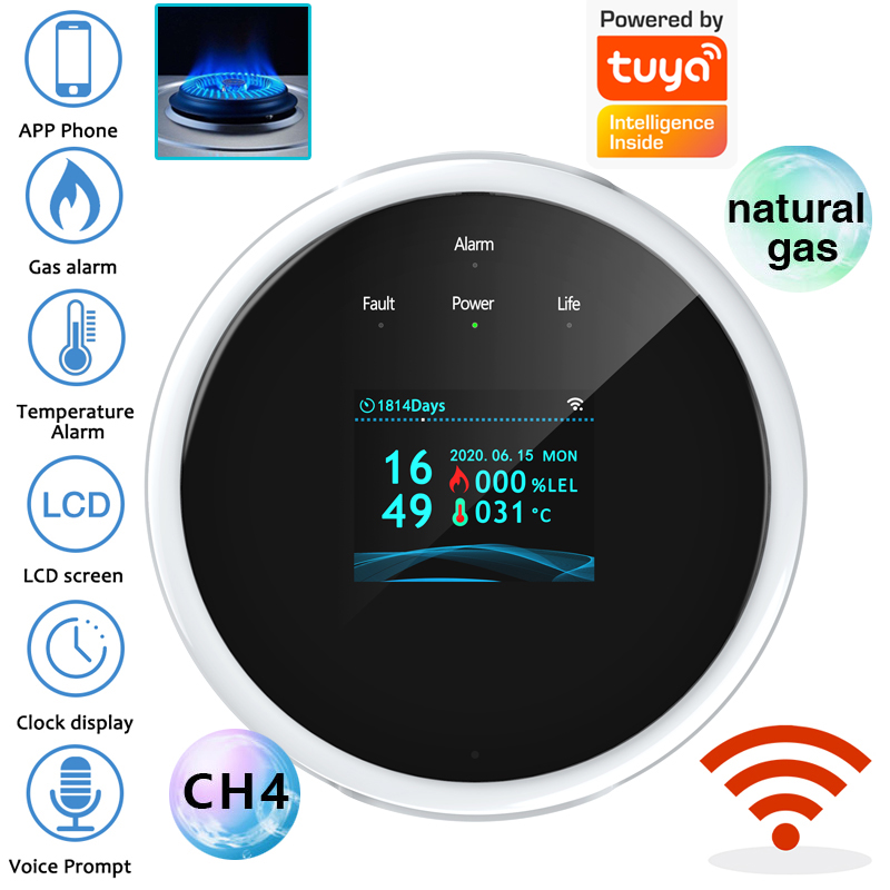 2.4G WiFi Gas Alarm Sensor Com - Smart Home Automation System ulasan dan harga